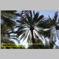 43529 10 075 Falaj-Kanaele, Al Ain, Arabische Emirate 2021.jpg
